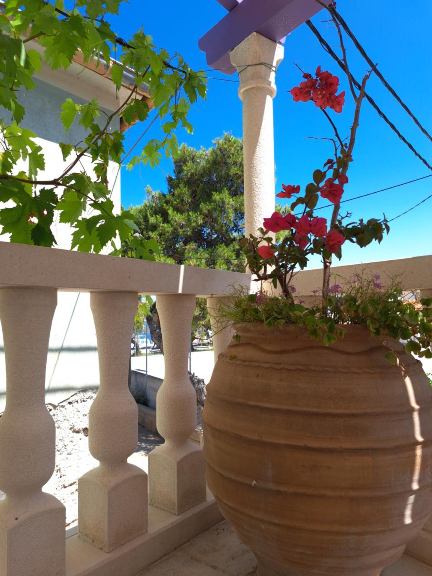 شقة Jardin Kapetanova Kuca Veli Iž المظهر الخارجي الصورة